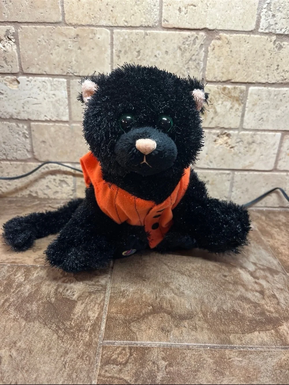 webkinz black cat